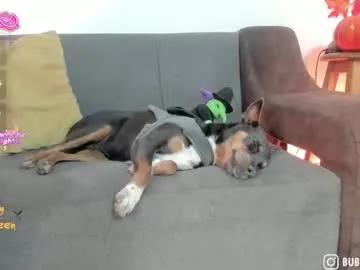 burbuja_cosmic on Chaturbate 